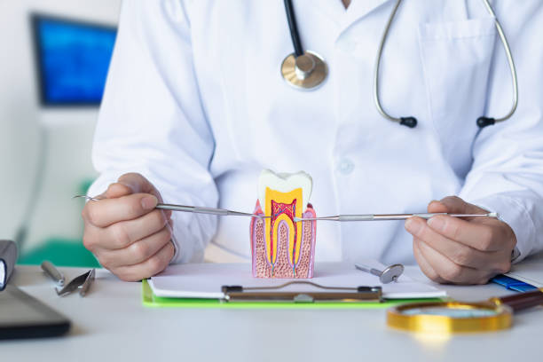 Best Same-Day Emergency Dental Services in Shoh, IL